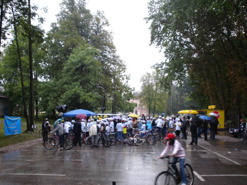 Carfreeday030
