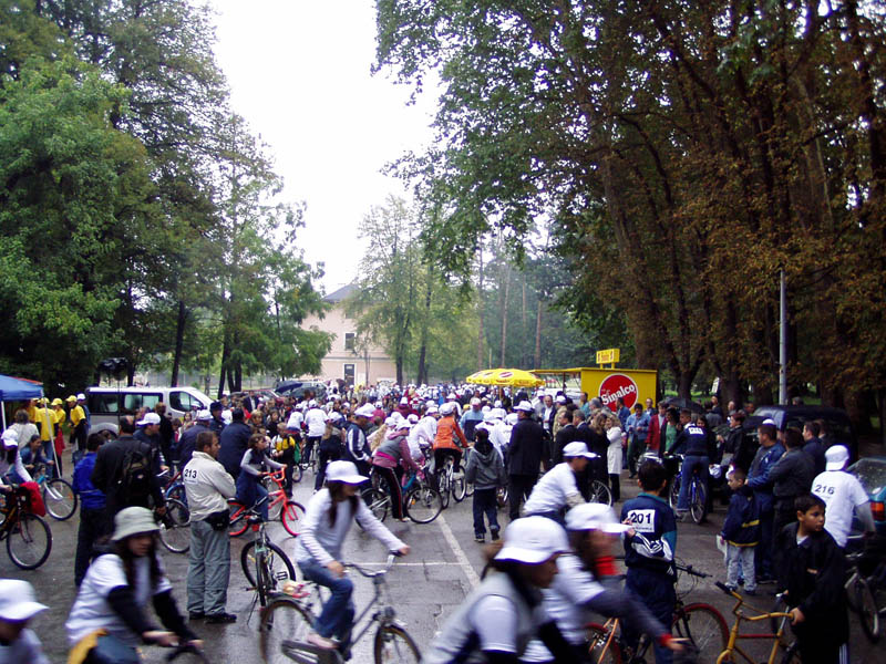 Carfreeday059